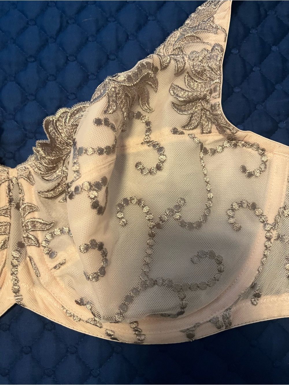Maidenform Embellished Lace Underwire Bra in Blush with Silver Accents